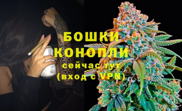 кокс Магас