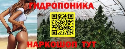 индика Кандалакша