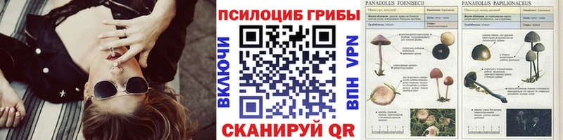 Галлюциногенные грибы MAGIC MUSHROOMS Кызыл