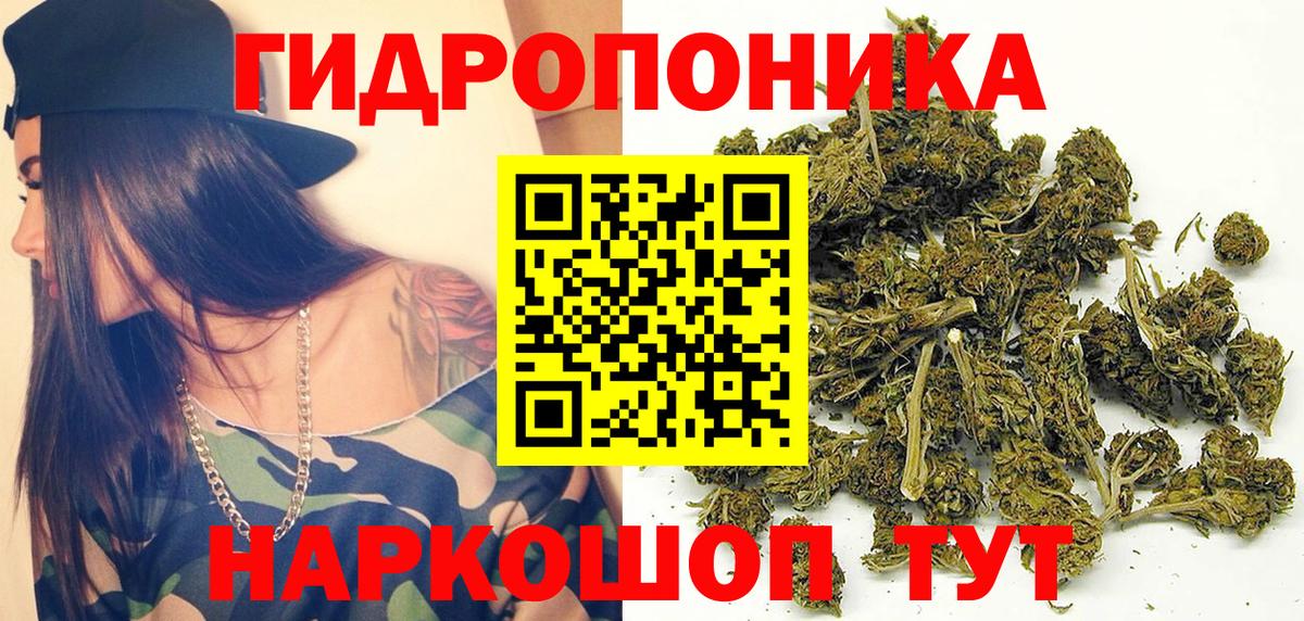 Шишки марихуана план Кызыл